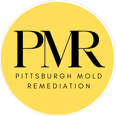 Pittsburgh Mold Remediation