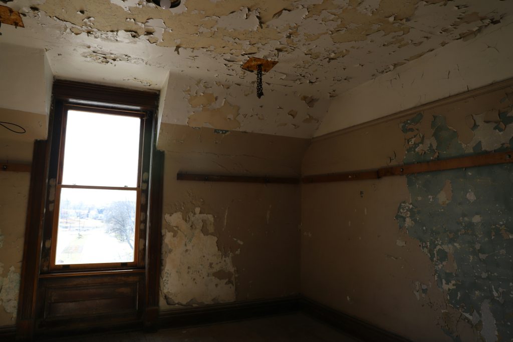 mold abatement services