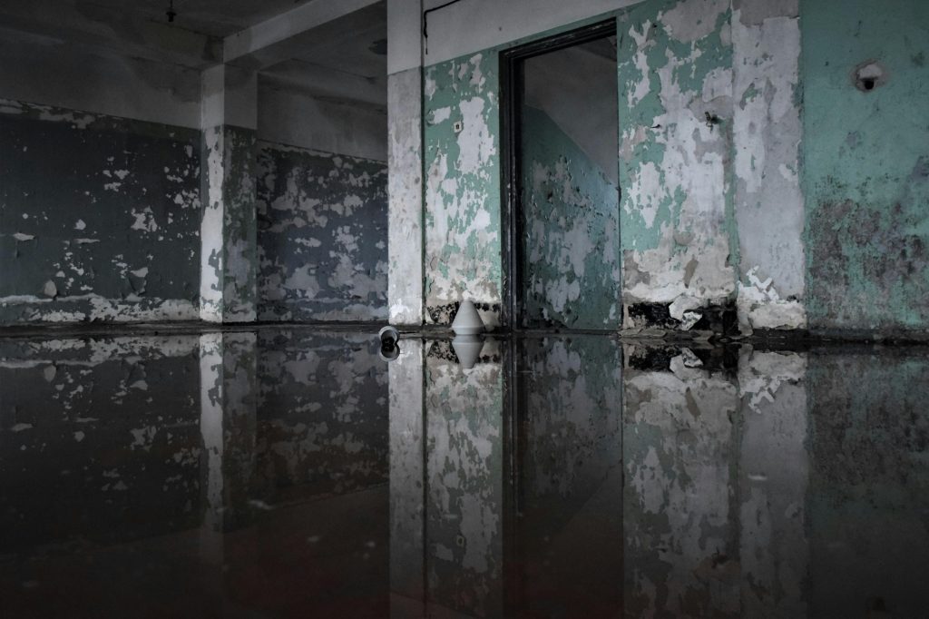 Pittsburgh Mold Remediation