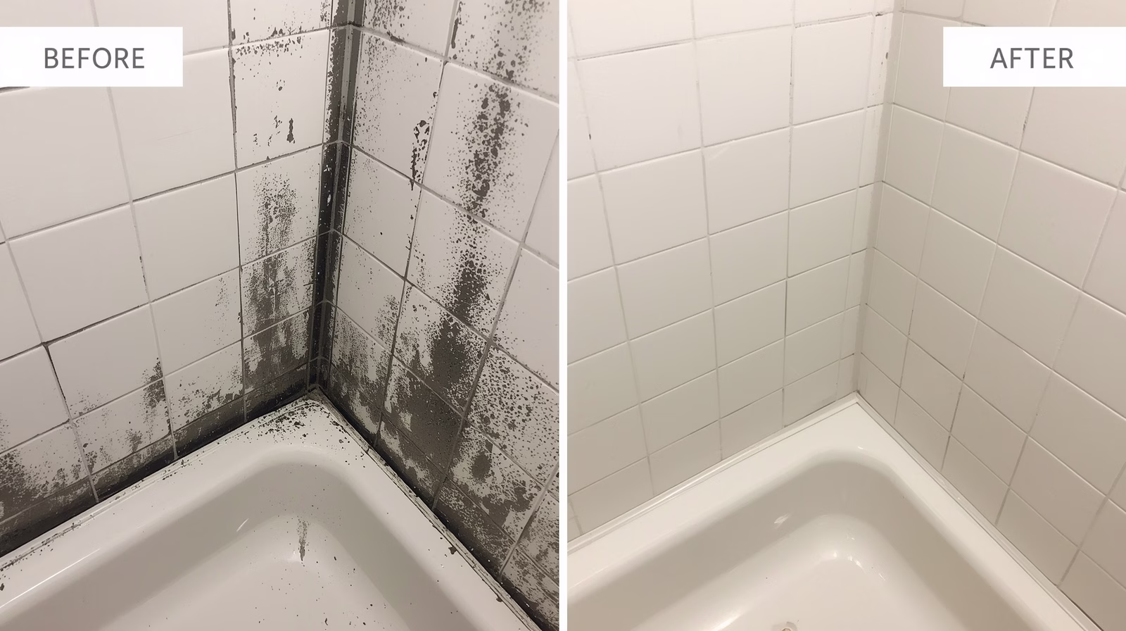 Mold Abatement Services Pittsburgh Mold Remediation